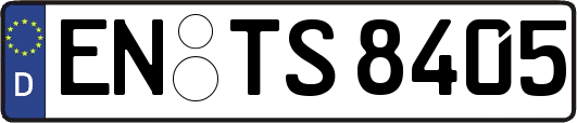EN-TS8405