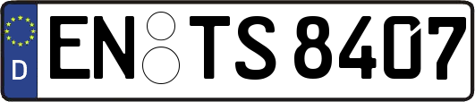EN-TS8407