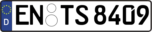 EN-TS8409