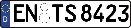 EN-TS8423