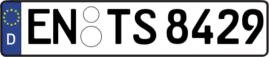 EN-TS8429