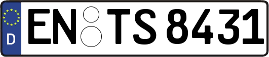 EN-TS8431