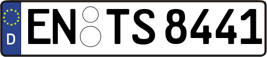 EN-TS8441