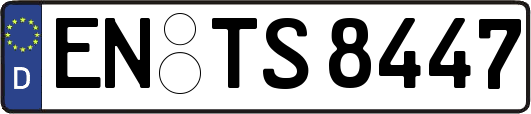 EN-TS8447