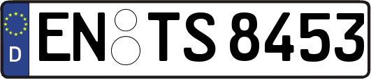 EN-TS8453
