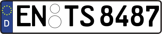 EN-TS8487