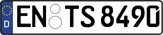 EN-TS8490