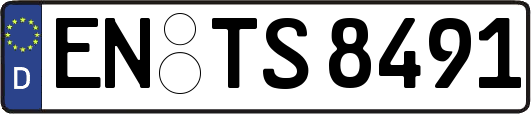 EN-TS8491