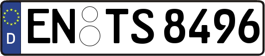 EN-TS8496