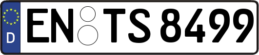 EN-TS8499