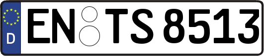EN-TS8513