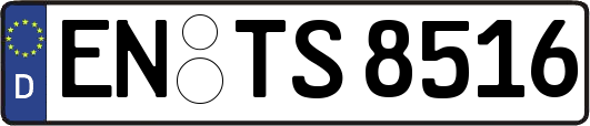 EN-TS8516