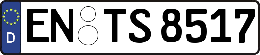 EN-TS8517