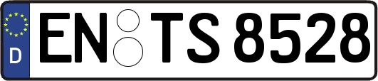 EN-TS8528