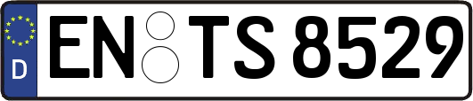 EN-TS8529