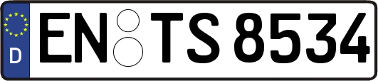 EN-TS8534