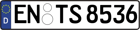 EN-TS8536