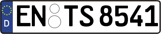 EN-TS8541