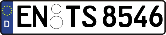 EN-TS8546