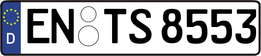 EN-TS8553