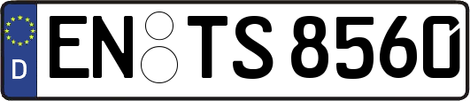 EN-TS8560