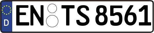 EN-TS8561