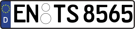 EN-TS8565