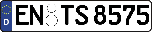 EN-TS8575