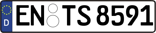 EN-TS8591