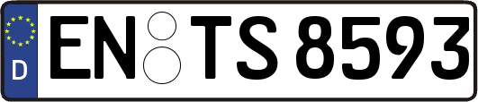 EN-TS8593