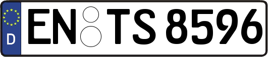 EN-TS8596