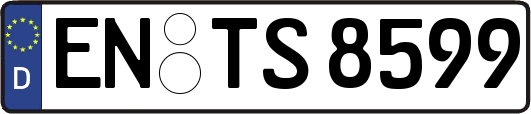 EN-TS8599