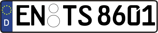 EN-TS8601