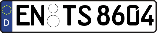 EN-TS8604