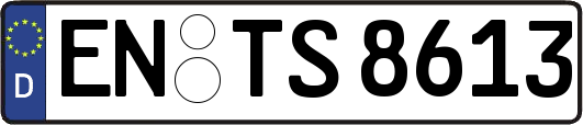 EN-TS8613