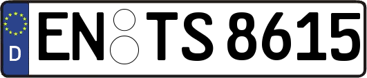EN-TS8615