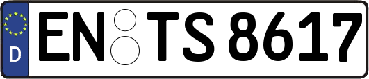 EN-TS8617