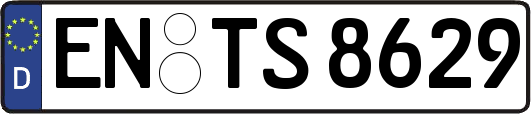 EN-TS8629