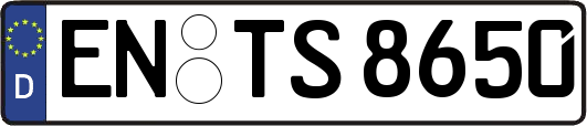 EN-TS8650