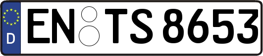 EN-TS8653