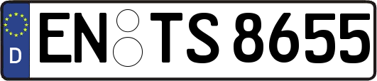 EN-TS8655