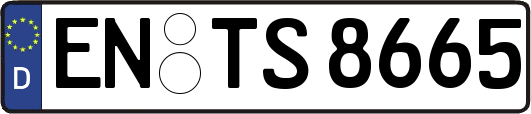 EN-TS8665