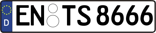EN-TS8666