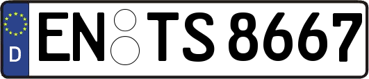 EN-TS8667