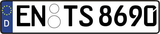EN-TS8690