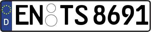 EN-TS8691