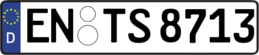 EN-TS8713