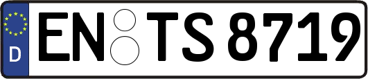 EN-TS8719