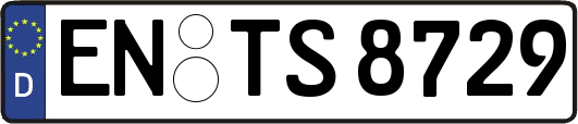EN-TS8729