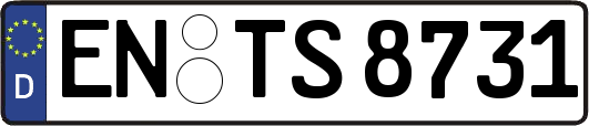 EN-TS8731